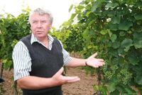 Hostitelem Farmářských slavností se poprvé stane vinařství 