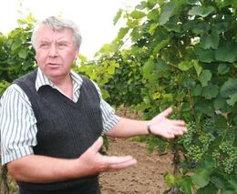 Vítěz Farmy roku 2011 - Vinařství Cyril Kosík, Tvrdonice (ASZ Břeclav)