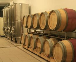 Sudy za podvody nemohou