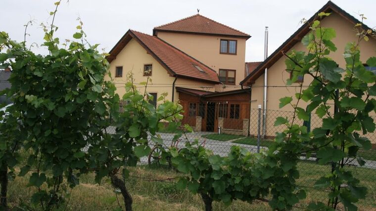 Slavnosti tentokrát ve vinařství 
