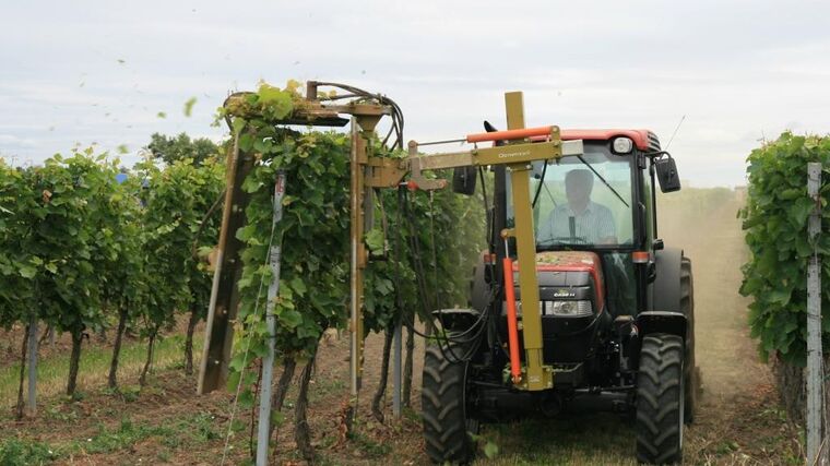 Hostitelem Farmářských slavností se poprvé stane vinařství 