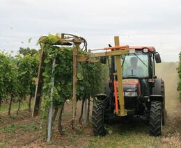 Hostitelem Farmářských slavností se poprvé stane vinařství 