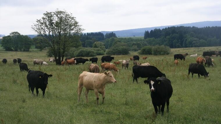 Asociace se rozšíří o další region 