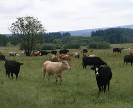 Asociace se rozšíří o další region 