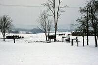 Farma v srdci Českého ráje Farma v srdci Českého ráje