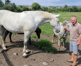 Dostatek srážek prospěl plodinám, středočeští zemědělci čekají dobrou úrodu