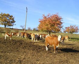 O ASZ okresu Benešov