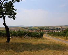 Vinařství a farma rodiny Valihrachových jsou členy ASZ Břeclav