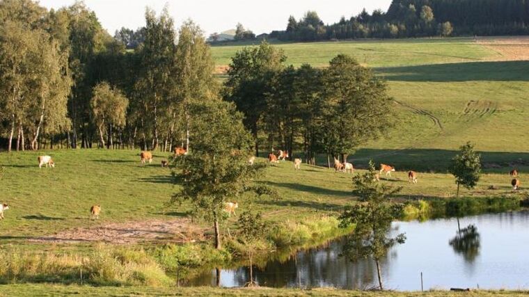 ASZ Jindřichův Hradec