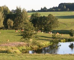 ASZ Jindřichův Hradec