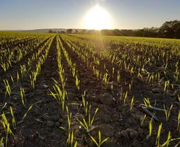 Levandulový statek Bezděkov je členem ASZ Olomouc