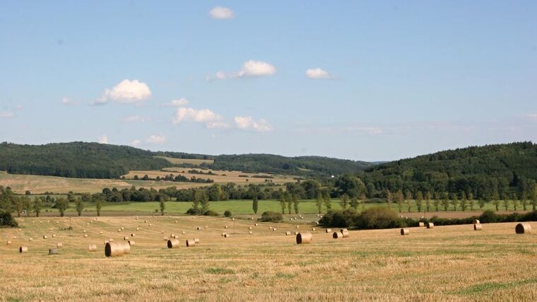 J&T kupuje podíl ve druhé největší zemědělské skupině v Česku 