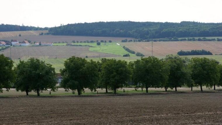 Plzeňský kraj vyhlásil dotace na podporu malých zemědělců, opět přidal peníze 