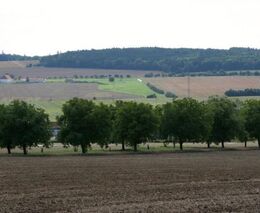 Propagační video „Hospodaříme v Plzeňském kraji“