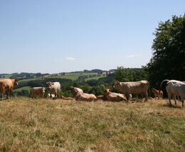 Farma u lesa je členem ASZ Tábor