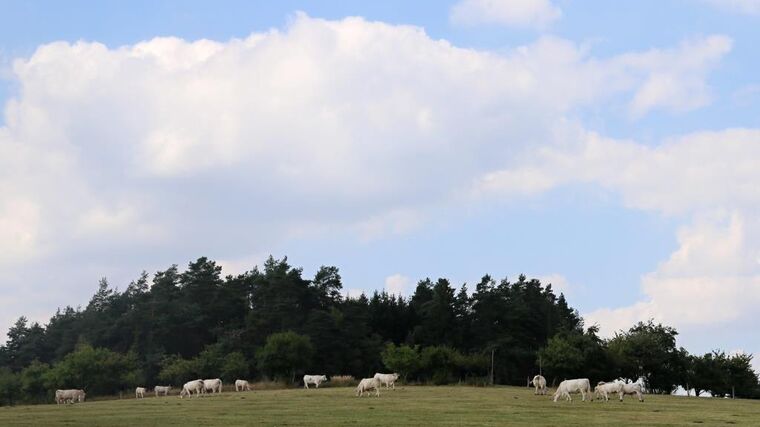 Farma rodiny Černých je členem ASZ Žďár nad Sázavou