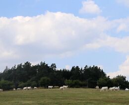 Farma rodiny Černých je členem ASZ Žďár nad Sázavou