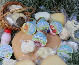 Jaroslav Šebek: Politika podpory velkoagrárníků s úzkou produkcí pár komodit byla chybou