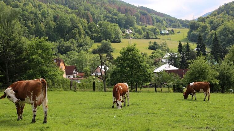 ČR potřebuje více ekologických zemědělců. Řadě farmářů se ale do nálepky „bio“ nechce