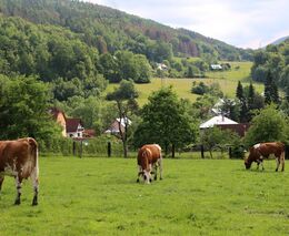 ČR potřebuje více ekologických zemědělců. Řadě farmářů se ale do nálepky „bio“ nechce