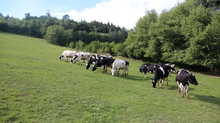 ASZ Blansko - Selský ostrůvek nepřízni navzdory