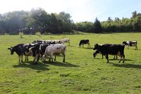 ASZ Blansko - Selský ostrůvek nepřízni navzdory