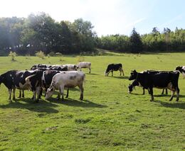 Není všem dnům konec…