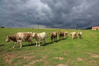 ASZ Blansko - Selský ostrůvek nepřízni navzdory
