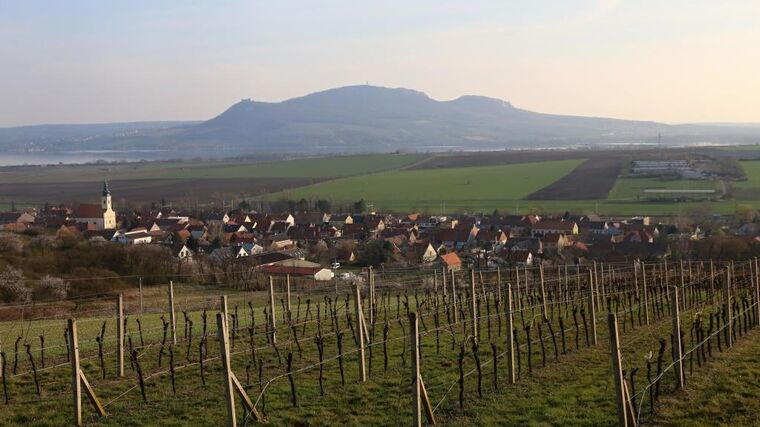 Tradice, srdečnost a vinohrady všude vůkol