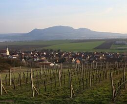 Tradice, srdečnost a vinohrady všude vůkol