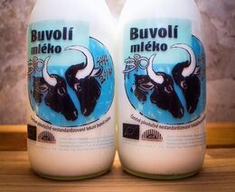 Komunitou podporované zemědělství dělá ze spotřebitelů a zemědělců parťáky