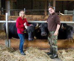 Buvolí farma Ohař: Od teorie k úspěšné praxi