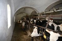 ASZ České Budějovice - Pár sedláckých příběhů z mokrého regionu