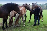 ASZ České Budějovice - Pár sedláckých příběhů z mokrého regionu