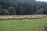 ASZ České Budějovice - Pár sedláckých příběhů z mokrého regionu