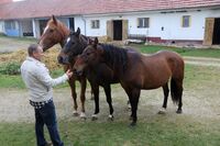 ASZ České Budějovice - Pár sedláckých příběhů z mokrého regionu