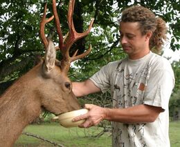 Zdraží kvůli ochraně klimatu maso? Odskáčou to ti zodpovědní, varuje Kotrba