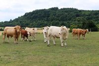 ASZ Louny - Kraj bohatý na sedláky – velká výzva pro region