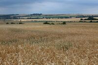 ASZ Louny - Kraj bohatý na sedláky – velká výzva pro region