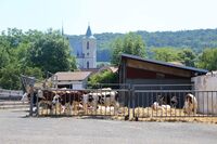 ASZ Louny - Kraj bohatý na sedláky – velká výzva pro region