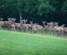 Bez organické hmoty v půdě a stromů nás deště nezachrání, říká zemědělec