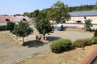 Páté místo ve Farmě roku 2015 - Dvůr Svržno