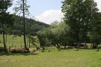 Páté místo ve Farmě roku 2015 - Dvůr Svržno
