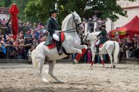Páté místo ve Farmě roku 2015 - Dvůr Svržno