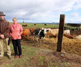 Od chladnokrevných koní k jelenovi