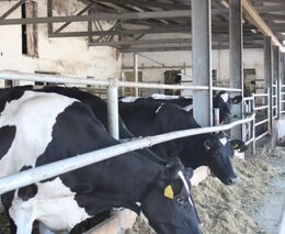 Za Prahou i na severu