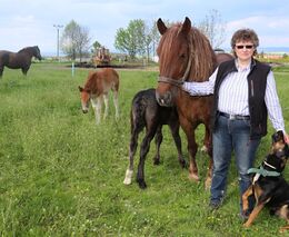 Sedlák musí umět všechno