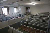 Diverzifikace – budoucnost rodinných farem 