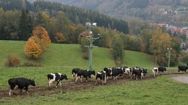 Vítejte na farmě, kde krávy žijí v poklidu a bez stresu