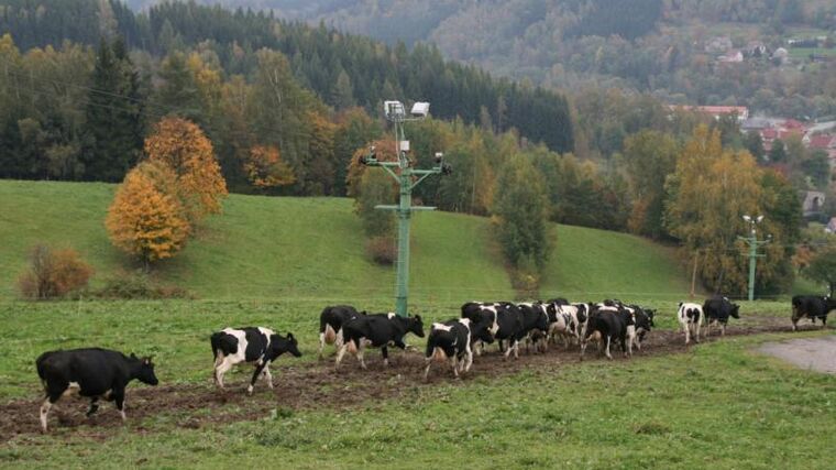 Ekofarmy jedou. Počet farmářů v Libereckém kraji vzrostl za 15 let pětkrát